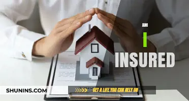 Am I Insured? Understanding Your Coverage and Protection