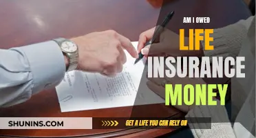 Understanding Life Insurance: Who Gets the Money?