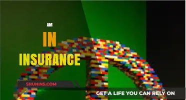 Insurance: Your Ultimate Guide to Peace of Mind