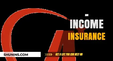 Income Protection: Your Guide to AM Insurance