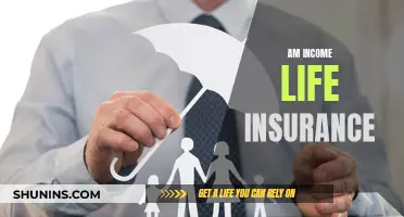 Income Protection: Life Insurance for Peace of Mind