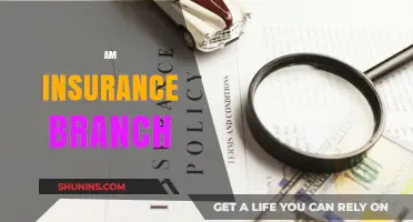 Insurance Branch: Your One-Stop Protection Shop