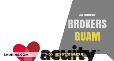 Insurance Brokerage: AM Best Ratings and Guam's Market