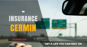 Insurance Cermin: The Ultimate Guide to Understanding Your Policy