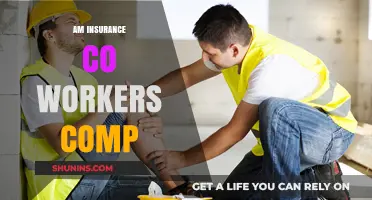 Workers' Comp: AM Insurance's Comprehensive Coverage