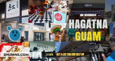 Insurance Solutions in Guam: AM Insurance Hagatna