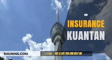 Best Insurance Plans in Kuantan: AM Insurance