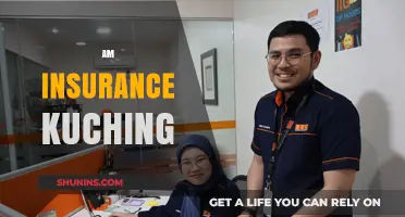 Insurance Solutions in Kuching: AM Assurance