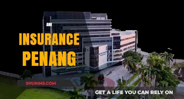 Insurance Coverage in Penang: AM Assurance
