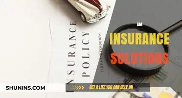 Insurance Solutions: Protecting Your World