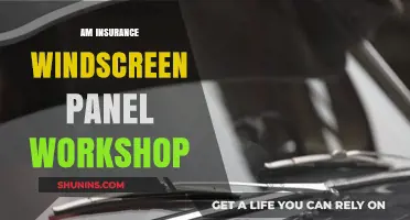 Windscreen Workshop: AM Insurance's Panel of Experts