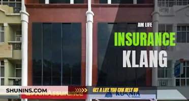 Life Insurance Klang: Protecting Your Family's Future