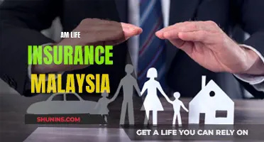 Life Insurance: AM Life Malaysia's Ultimate Guide