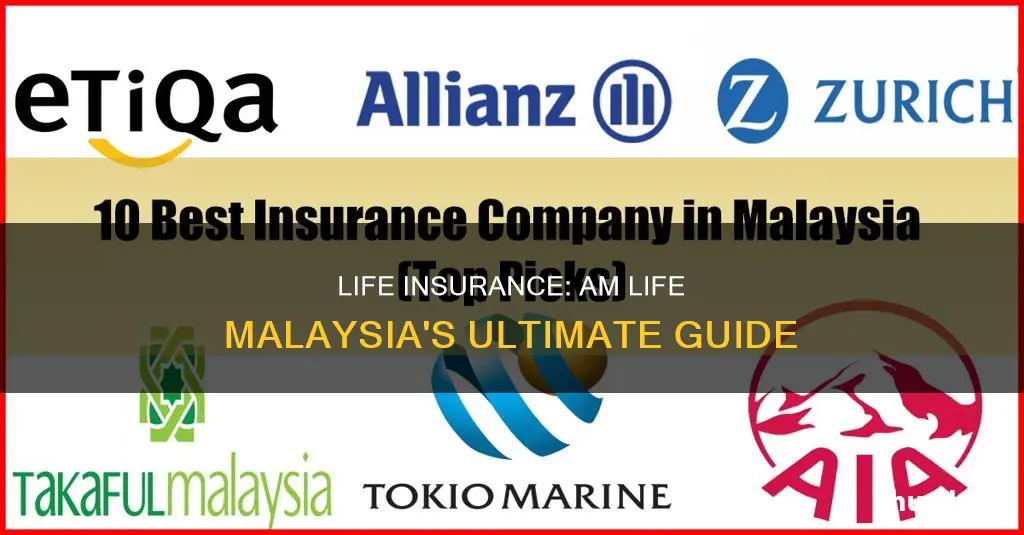 am life insurance malaysia