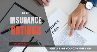 Life Insurance Ratings: AM Best's Top Picks