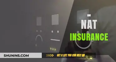 The Ultimate Guide to AM Nat Insurance
