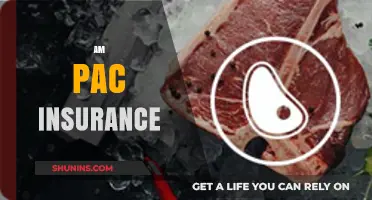 The Ultimate Guide to Understanding AMPAC Insurance