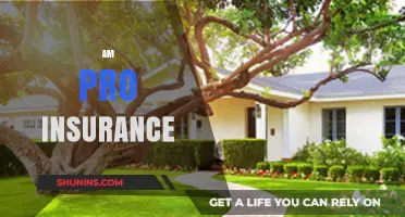 The Benefits of Am Pro Insurance