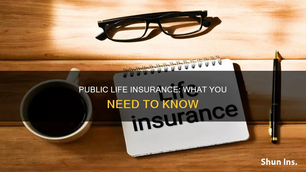 am public life insurance