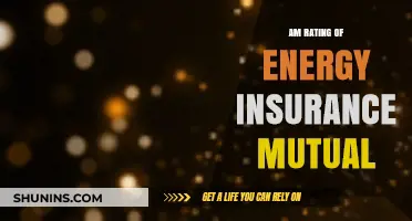 Energy Insurance Mutual: AM Rating Review