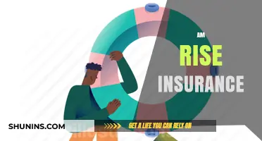 The Rise of Insurance: Protecting Your Tomorrow, Today
