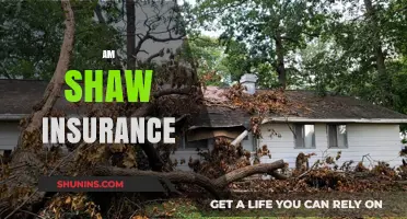 Shaw Insurance: Your Ultimate Protection Partner