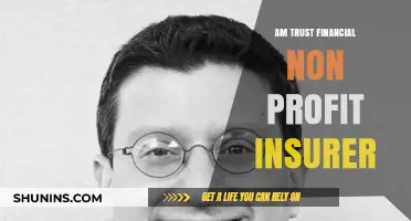 Trustworthy Non-Profit Insurer: AM Trust Financial