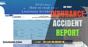 Trust and Insurance: Accident Report Guide