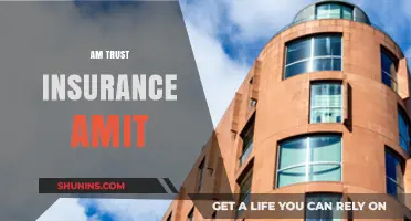 Trust Insurance: AM Trust's Comprehensive Protection