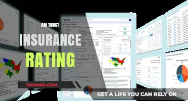 Trust and Insurance: AM Trust Ratings Explained