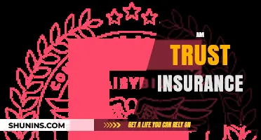 AM Trust Insurance: Comprehensive Coverage, Reliable Protection, and Peace of Mind