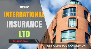 Trust and Insurance: AM Trust International