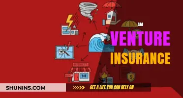 Venture Insurance: Protecting Your Business Dreams and Ambitions