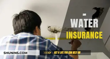 Water Damage: Protect Your Home with Insurance