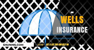 Wells Insurance: Your Ultimate Protection Partner