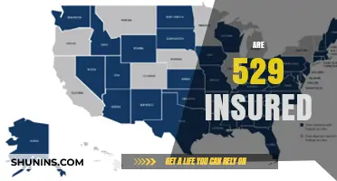 Plans for College: Are 529s Insured?