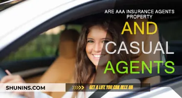Property and Casualty Insurance: Are AAA Agents Experts?