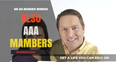 AAA Insurance: Membership Benefits and Services