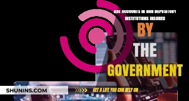 Government Insurance: Non-Depository Accounts and Protection