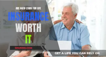 Aged Life Insurance Leads: Worth the Investment?