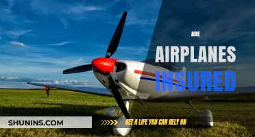 Airplanes and Insurance: What's the Deal?