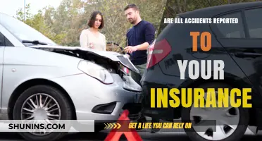Insurance Claims: What Accidents Should You Report?