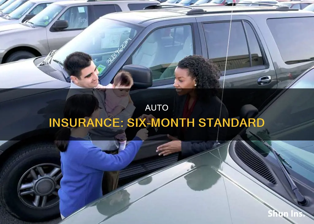 are all auto insurance 6 months