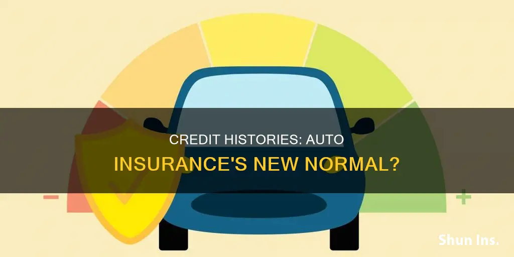 are all auto insurance based on credit histories now