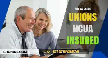 Credit Union Members: NCUA Insurance Explained