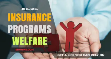 Social Insurance and Welfare: What's the Difference?