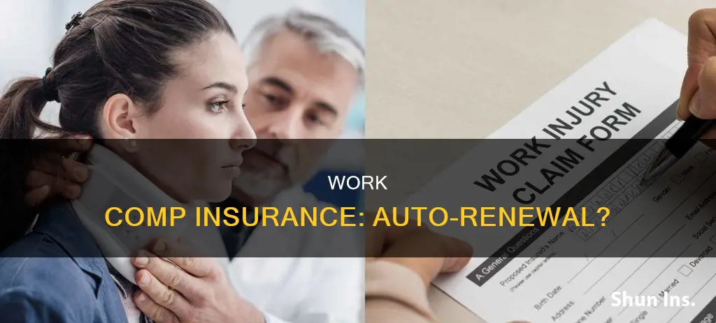 are all work comp insurance policies auto renewal