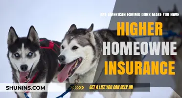 Home Insurance: American Eskimo Dogs and Higher Premiums?