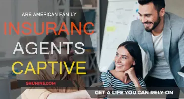 American Family Insurance: Captive Agents or Not?