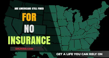 Insurance Fines: Are Americans Still Penalized?